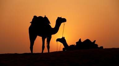 Marrakech y Desierto de Zagora Marrakech y Desierto de Zagora