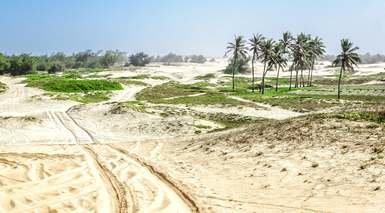 Viaje a Senegal y Naturaleza del Norte Viaje a Senegal y Naturaleza del Norte