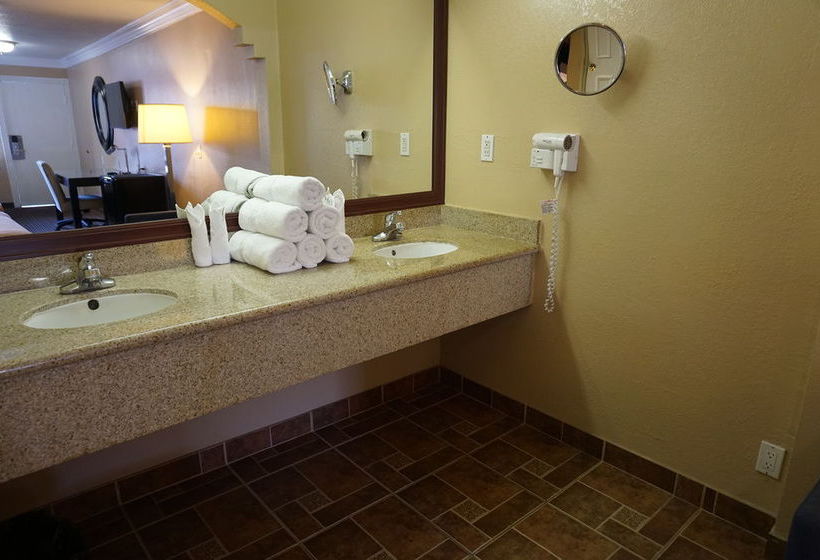 Hotel Hollywood Inn Express South Los Angeles