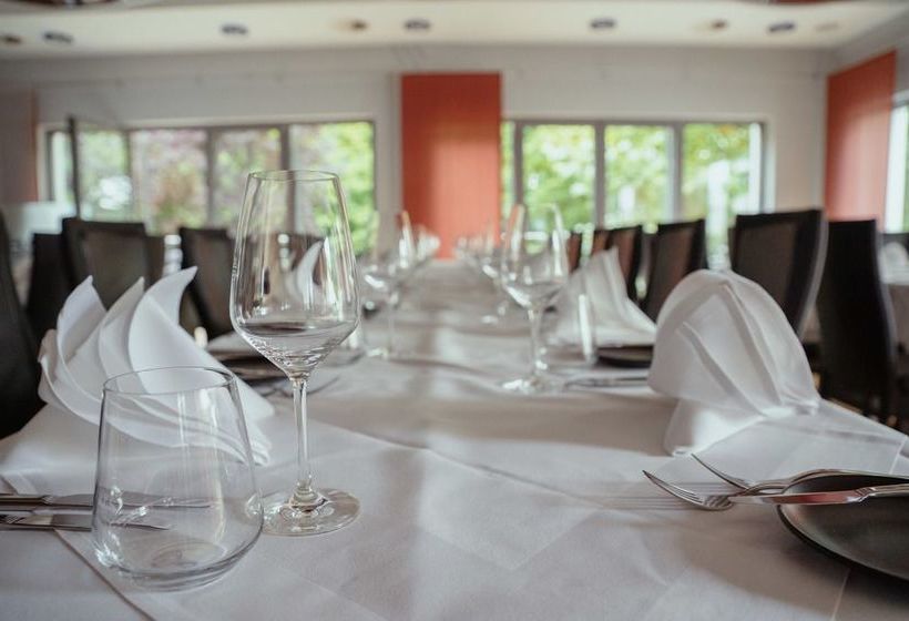 Parkhotel Gengenbach Voelklingen