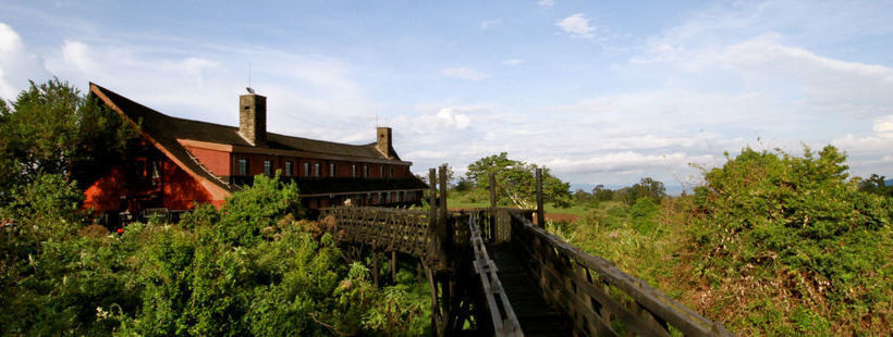 Hotel The Ark Nyeri