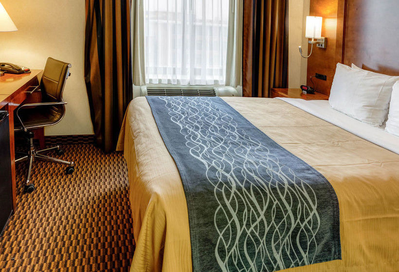 Hotel Comfort Inn Sunset Park Park Slope Brooklyn