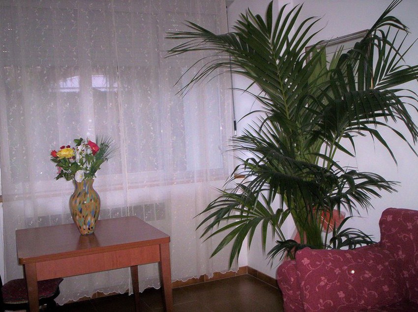 Hotel Ideale Bologna