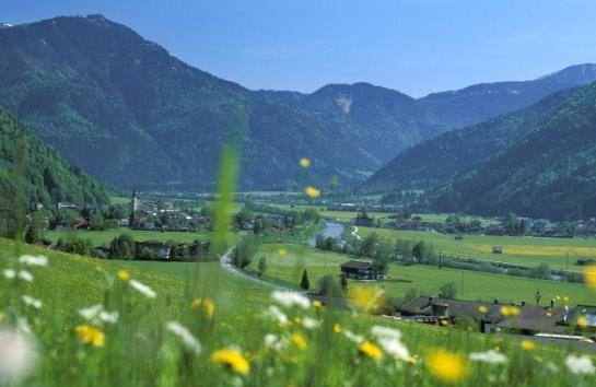 Pension Gästehaus Bendler Kirchdorf in Tirol