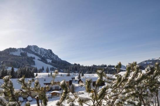 Landhaus Wildschütz Jungholz